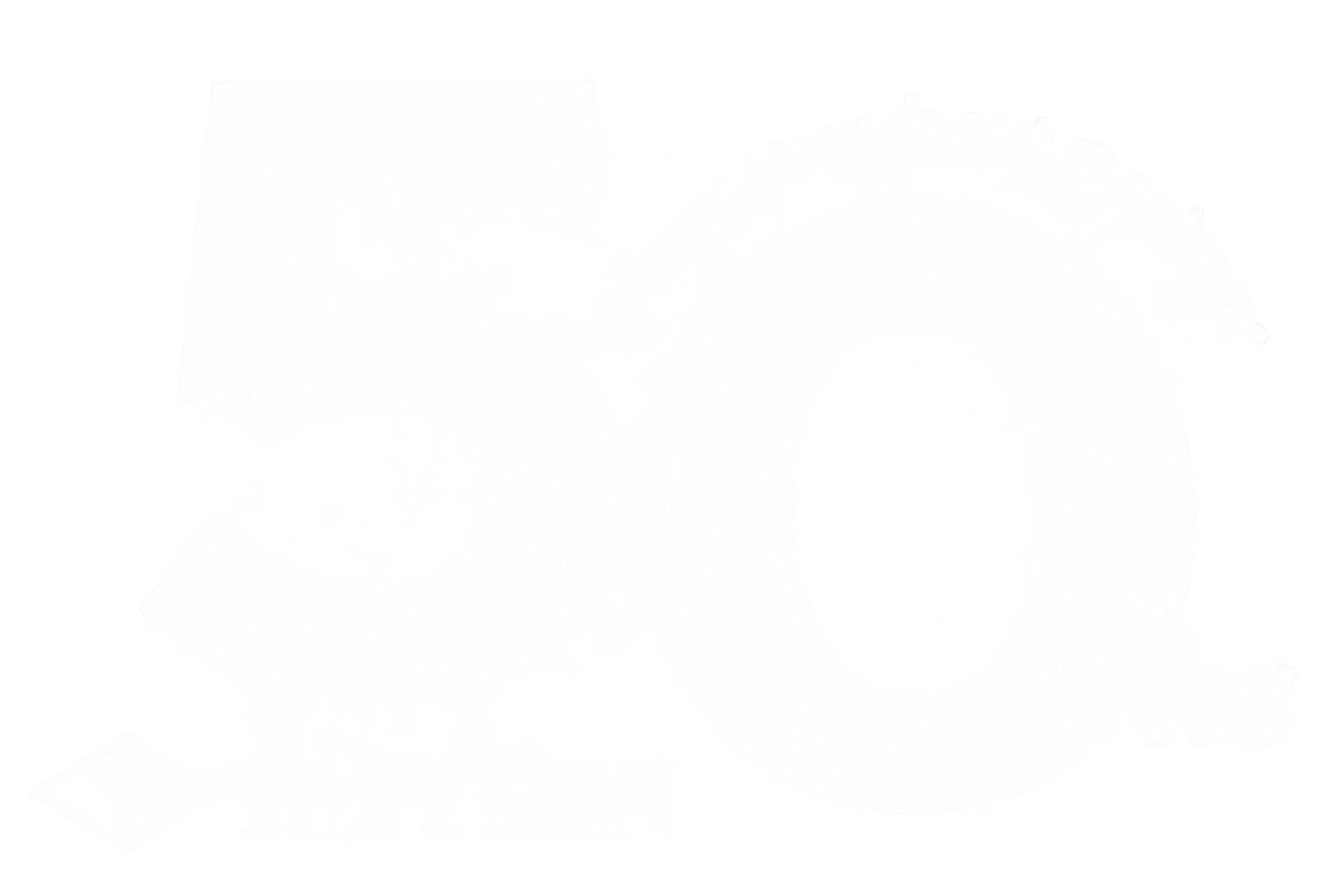 泰艺电子50周年